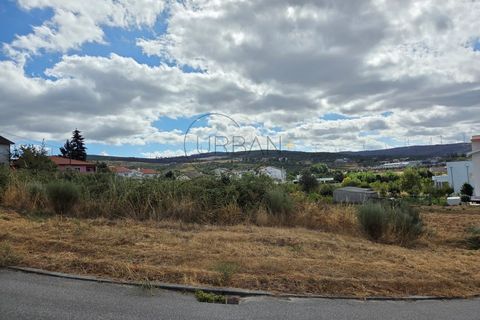 Terra a Moimenta da Beira, Viseu, Moimenta da Beira - € 50.000 | Ref: 0141 - foto 5