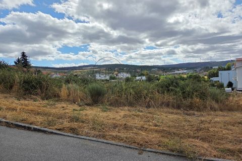 Terra a Moimenta da Beira, Viseu, Moimenta da Beira - € 50.000 | Ref: 0141 - foto 6