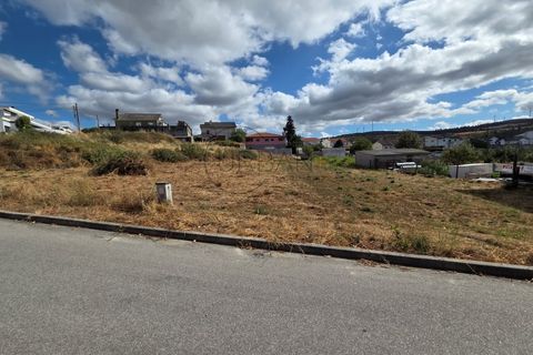 Terra a Moimenta da Beira, Viseu, Moimenta da Beira - € 60.000 | Ref: 0140 - foto 2