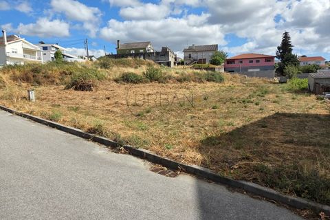 Terra a Moimenta da Beira, Viseu, Moimenta da Beira - € 60.000 | Ref: 0140 - foto 3