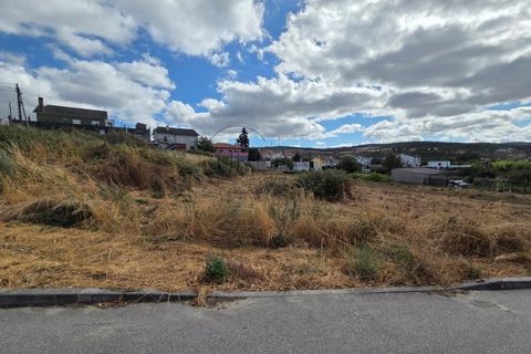 Terra a Moimenta da Beira, Viseu, Moimenta da Beira - € 60.000 | Ref: 0140 - foto 4