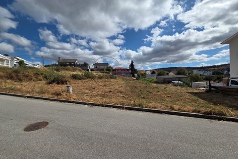 Terra a Moimenta da Beira, Viseu, Moimenta da Beira - € 60.000 | Ref: 0140 - foto 5