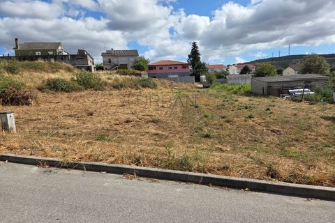 Terra a Moimenta da Beira, Viseu, Moimenta da Beira - € 60.000 | Ref: 0140 - foto 6