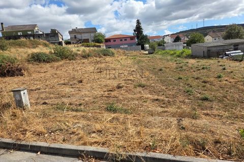 Terra a Moimenta da Beira, Viseu, Moimenta da Beira - € 60.000 | Ref: 0140 - foto 7