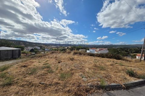 Terra a Moimenta da Beira, Viseu, Moimenta da Beira - € 55.000 | Ref: 0139 - foto 2