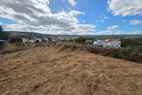 Terra a Moimenta da Beira, Viseu, Moimenta da Beira - € 55.000 | Ref: 0139 - foto 3