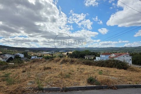 Terra a Moimenta da Beira, Viseu, Moimenta da Beira - € 55.000 | Ref: 0139 - foto 6