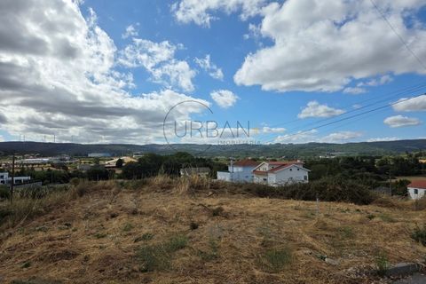 Terra a Moimenta da Beira, Viseu, Moimenta da Beira - € 55.000 | Ref: 0139 - foto 7
