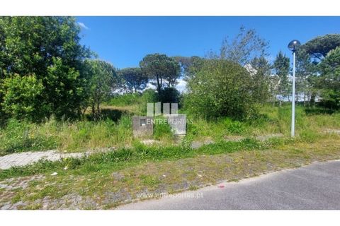 Helårsgrund i Darque, Viana do Castelo, Darque - € 55.000 | Ref: VCM14435 - foto 2