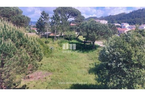 Helårsgrund i Darque, Viana do Castelo, Darque - € 55.000 | Ref: VCM14435 - foto 8