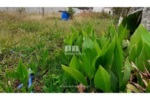 Helårsgrund i Canidelo, Porto, Canidelo - € 90.000 | Ref: VC03170 - foto 4