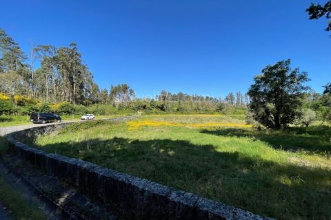 Helårsgrund i Valenca, Viana do Castelo, Valenca - € 100.000 | Ref: 4265 - foto 2