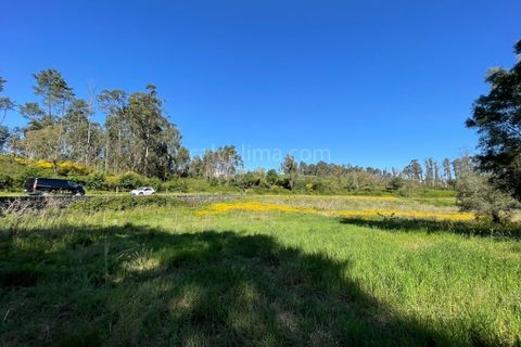 Helårsgrund i Valenca, Viana do Castelo, Valenca - € 100.000 | Ref: 4265 - foto 3