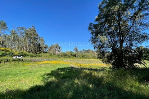 Helårsgrund i Valenca, Viana do Castelo, Valenca - € 100.000 | Ref: 4265 - foto 4