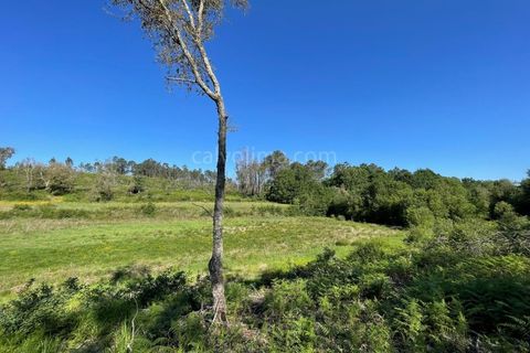 Helårsgrund i Valenca, Viana do Castelo, Valenca - € 100.000 | Ref: 4265 - foto 5