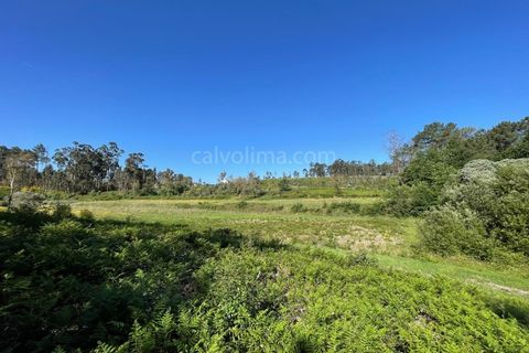 Helårsgrund i Valenca, Viana do Castelo, Valenca - € 100.000 | Ref: 4265 - foto 7