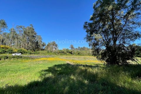 Helårsgrund i Valenca, Viana do Castelo, Valenca - € 100.000 | Ref: 4265 - foto 8