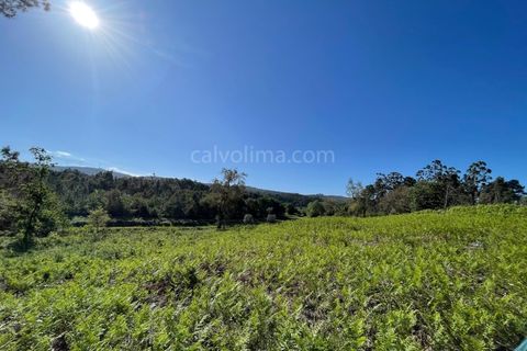 Helårsgrund i Valenca, Viana do Castelo, Valenca - € 100.000 | Ref: 4265 - foto 9