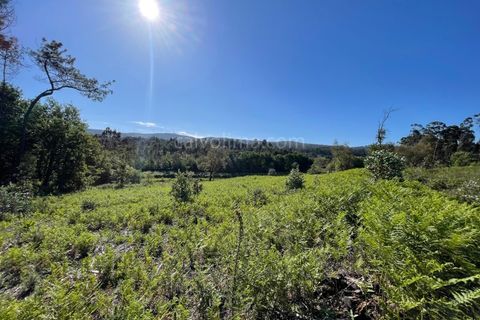 Helårsgrund i Valenca, Viana do Castelo, Valenca - € 100.000 | Ref: 4265 - foto 10