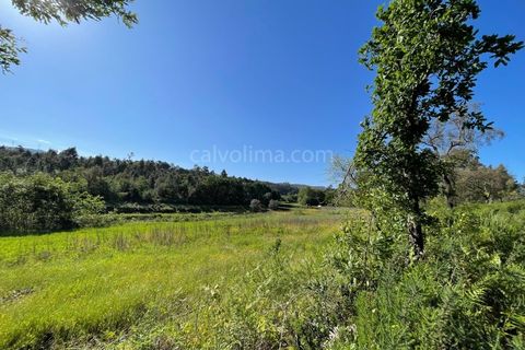Helårsgrund i Valenca, Viana do Castelo, Valenca - € 100.000 | Ref: 4265 - foto 11