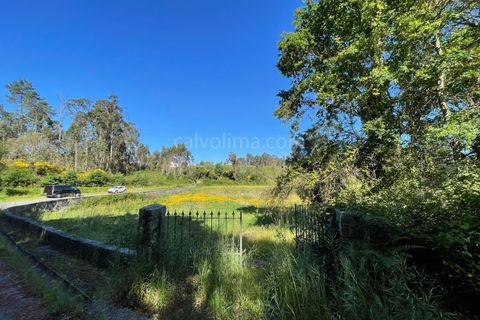Helårsgrund i Valenca, Viana do Castelo, Valenca - € 100.000 | Ref: 4265 - foto 12