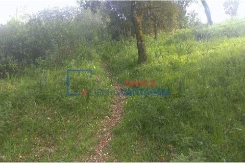 Helårsgrund i Tomar, Santarem, Tomar - € 105.000 | Ref: T-28862 - foto 4