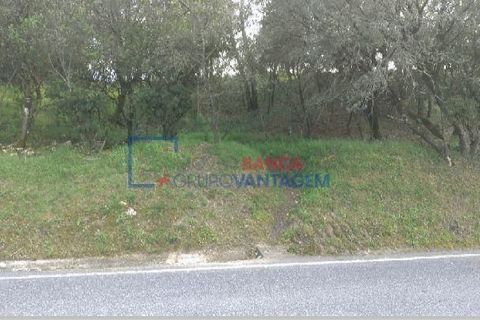 Helårsgrund i Tomar, Santarem, Tomar - € 105.000 | Ref: T-28862 - foto 3
