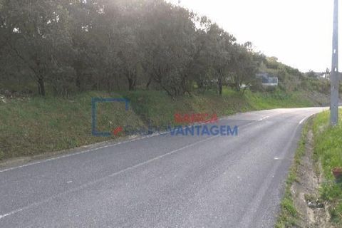 Helårsgrund i Tomar, Santarem, Tomar - € 105.000 | Ref: T-28862 - foto 6