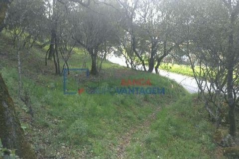 Helårsgrund i Tomar, Santarem, Tomar - € 105.000 | Ref: T-28862 - foto 7