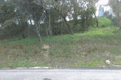 Helårsgrund i Tomar, Santarem, Tomar - € 105.000 | Ref: T-28862 - foto 1
