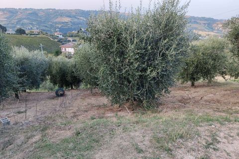 Herregård i Acquaviva Picena, Ascoli Piceno, Acquaviva Picena - € 55 000 | Ref: CV9472 - foto 5