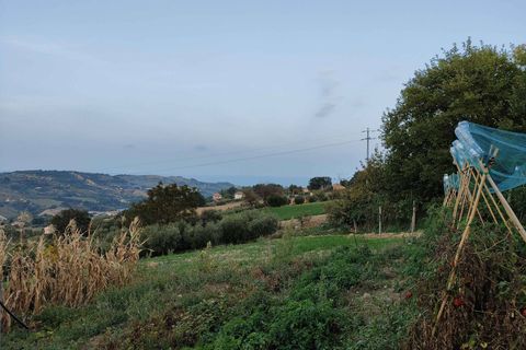 Herregård i Acquaviva Picena, Ascoli Piceno, Acquaviva Picena - € 55 000 | Ref: CV9472 - foto 17