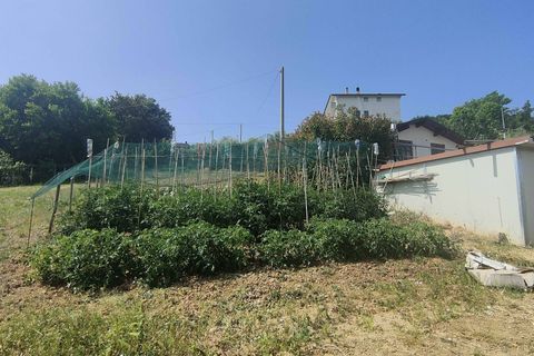 Herregård i Acquaviva Picena, Ascoli Piceno, Acquaviva Picena - € 55 000 | Ref: CV9472 - foto 21