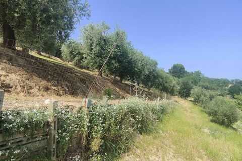 Herregård i Acquaviva Picena, Ascoli Piceno, Acquaviva Picena - € 55 000 | Ref: CV9472 - foto 22