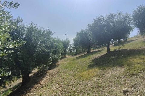 Herregård i Acquaviva Picena, Ascoli Piceno, Acquaviva Picena - € 55 000 | Ref: CV9472 - foto 24