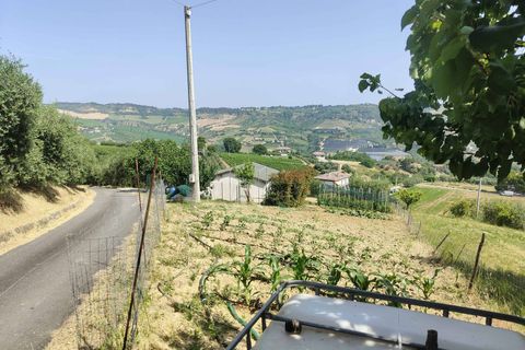 Herregård i Acquaviva Picena, Ascoli Piceno, Acquaviva Picena - € 55 000 | Ref: CV9472 - foto 31