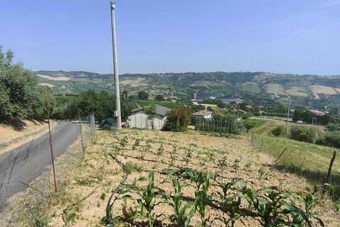 Herregård i Acquaviva Picena, Ascoli Piceno, Acquaviva Picena - € 55 000 | Ref: CV9472 - foto 33