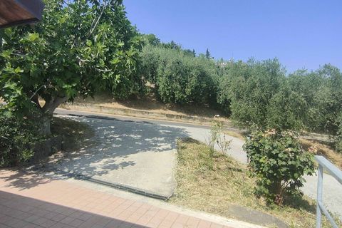 Herregård i Acquaviva Picena, Ascoli Piceno, Acquaviva Picena - € 55 000 | Ref: CV9472 - foto 34