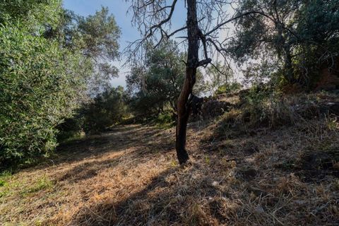 Villa i Tavira, Faro, Tavira - € 54.900 | Ref: KWPT-016325 - foto 11