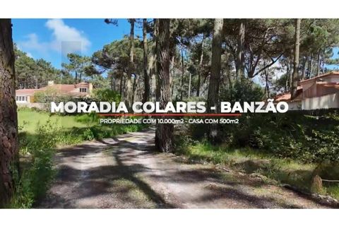 Villa i Almocageme, Lisbon, Almocageme - € 2.550.000 | Ref: KWPT-015328 - foto 2