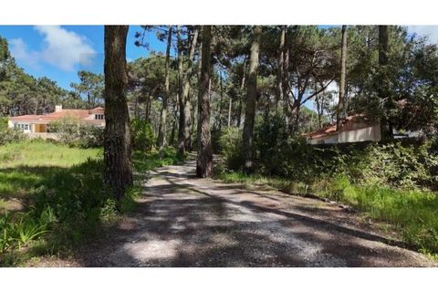 Villa i Almocageme, Lisbon, Almocageme - € 2.550.000 | Ref: KWPT-015328 - foto 3