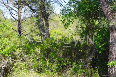 Terra a Bucelas, Lisbon, Bucelas - € 48.000 | Ref: M009AM - foto 2