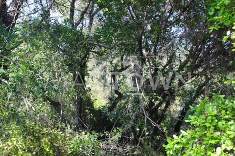 Terra a Bucelas, Lisbon, Bucelas - € 48.000 | Ref: M009AM - foto 3
