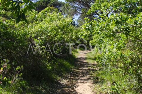 Terra a Bucelas, Lisbon, Bucelas - € 48.000 | Ref: M009AM - foto 4