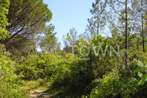Terra a Bucelas, Lisbon, Bucelas - € 48.000 | Ref: M009AM - foto 5