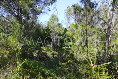Terra a Bucelas, Lisbon, Bucelas - € 48.000 | Ref: M009AM - foto 6