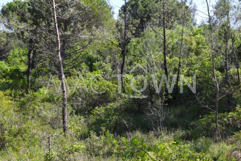 Terra a Bucelas, Lisbon, Bucelas - € 48.000 | Ref: M009AM - foto 7