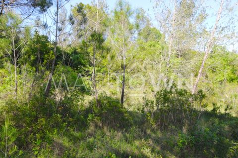 Terra a Bucelas, Lisbon, Bucelas - € 48.000 | Ref: M009AM - foto 8