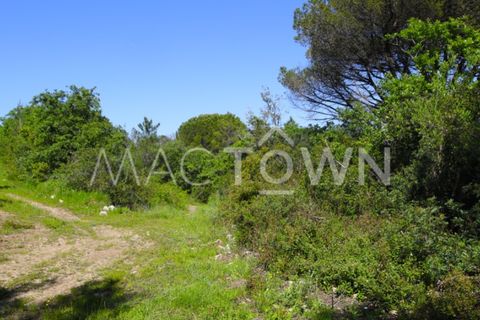 Terra a Bucelas, Lisbon, Bucelas - € 48.000 | Ref: M009AM - foto 9