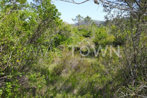 Terra a Bucelas, Lisbon, Bucelas - € 48.000 | Ref: M009AM - foto 10